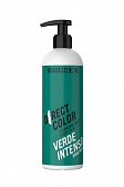 Direct Color Ухаживающая краска 250 мл темно-зеленый